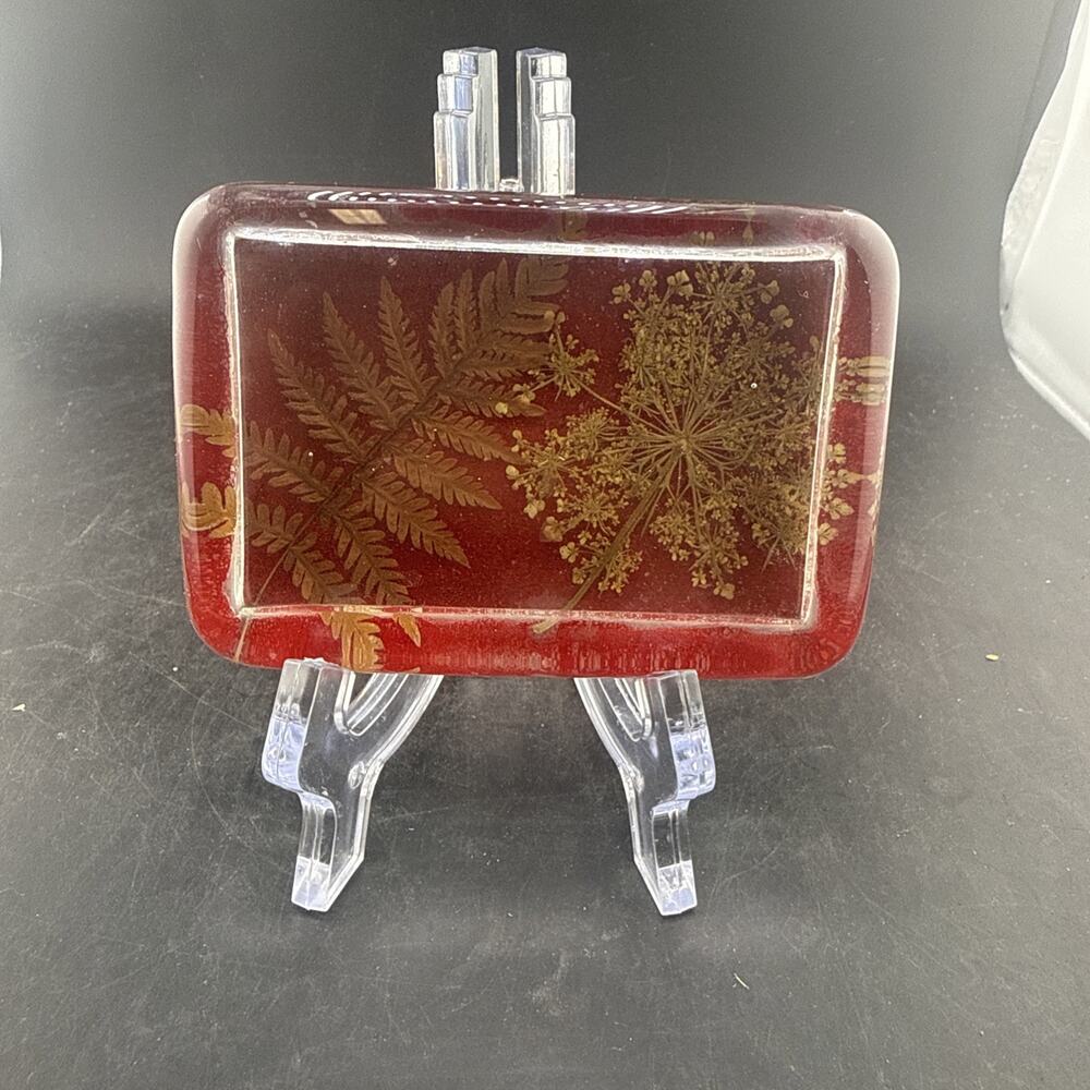 Vintage Resin Paperweight Dried Pressed Fern Queen Annes Lace Flower Lucite Red